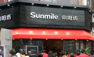 向陽坊加盟指南 費用、流程與無憂加盟網的藝術活動策劃優勢