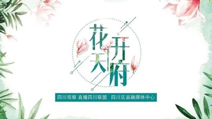 藝心抗疫 熒屏傳情——四川省電視藝術家協會團體會員單位三月行動紀實